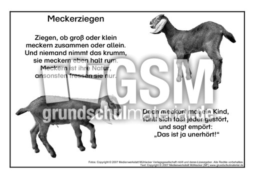 Meckerziege-SW.pdf